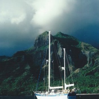 Drop Dead Pacific Islands Traitor Bay Adventure Book